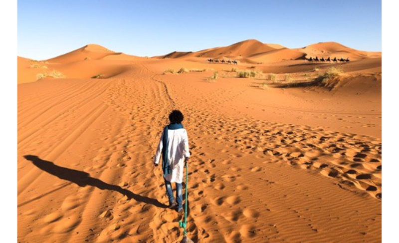 Le Maroc, villes impériales et nature : Conférence photo